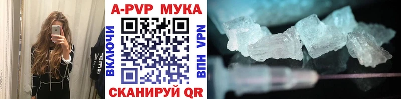 где продают Темников кракен вход Alpha PVP СК