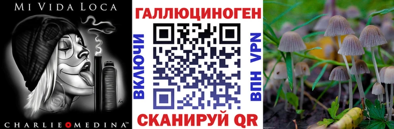 закладка Темников Псилоцибиновые грибы Psilocybine cubensis